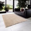 Super Soft Polyester Shag Area Rug